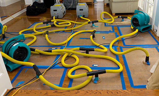 Professional Water Damage Repair technician working in Kewaskum, WI